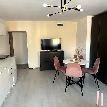Apartament Bialy Kamien Waldenburg Exterior foto