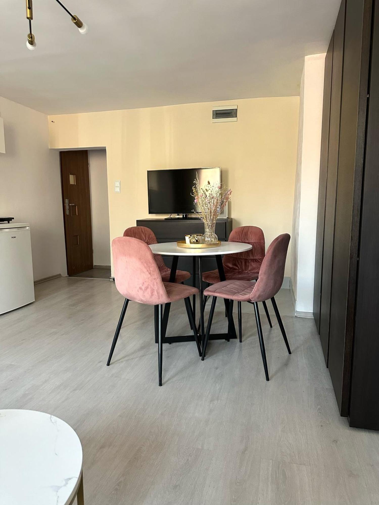 Apartment Bialy Kamien Waldenburg