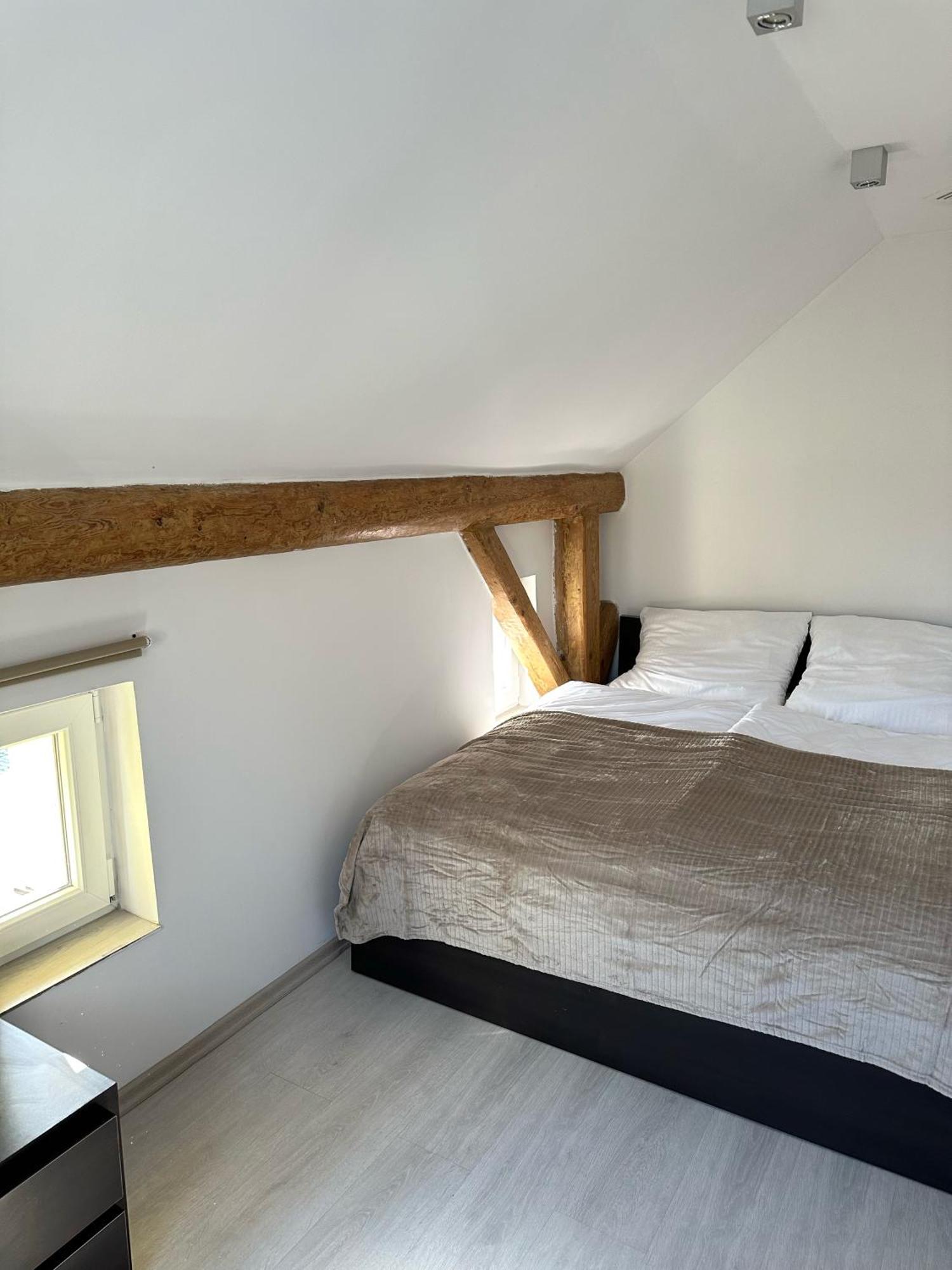 Bialy Kamien Apartment Waldenburg